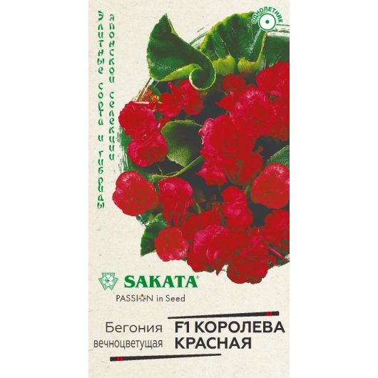 Бегония Королева красная F1  вечноцв. 4 шт. пробирка, серия Саката Бегония Королева красная F1  вечноцв. 4 шт. пробирка, серия Саката