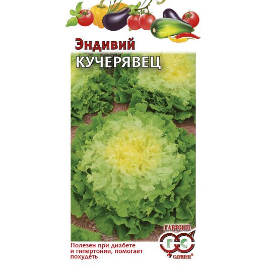 Эндивий Кучерявец* 0,1 г Эндивий Кучерявец* 0,1 г