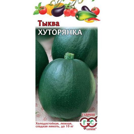 Тыква Хуторянка 2,0 г Тыква Хуторянка 2,0 г