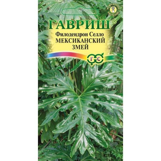 Филодендрон Селло Мексиканский змей 5 шт. Филодендрон Селло Мексиканский змей 5 шт.