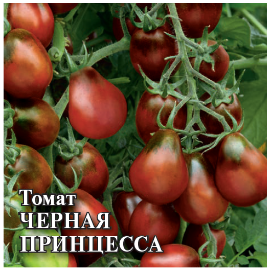 Томат Черная Принцесса 5,0 г Томат Черная Принцесса 5,0 г