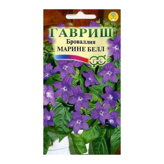 Броваллия Марине Белл* 3 шт. Броваллия Марине Белл* 3 шт.