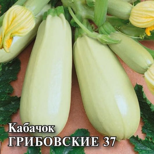 Кабачок Грибовские 37  25,0 г Кабачок Грибовские 37  25,0 г