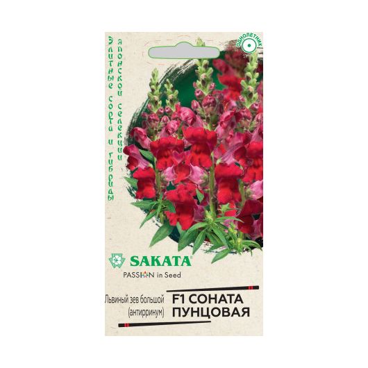 Львиный зев (Антирринум) Соната пунцовая F1* 7 шт. Саката серия Элитная клумба Львиный зев (Антирринум) Соната пунцовая F1* 7 шт. Саката серия Элитная клумба