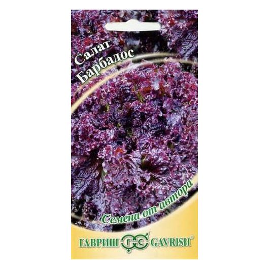 Салат Барбадос 1,0 г красный автор. Салат Барбадос 1,0 г красный автор.