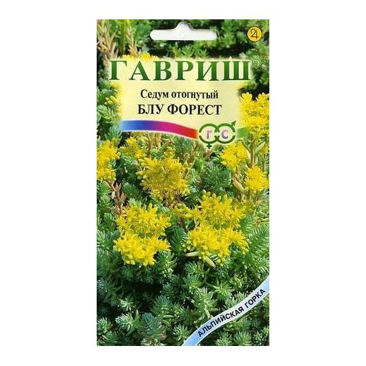 Седум (Очиток) Блу Форест отогнутый * 0,01 г серия Альпийская горка Седум (Очиток) Блу Форест отогнутый * 0,01 г серия Альпийская горка