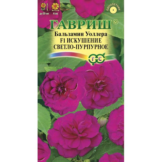 Бальзамин Искушение светло-пурпурное F1 ( Уоллера)* 5 шт. Бальзамин Искушение светло-пурпурное F1 ( Уоллера)* 5 шт.