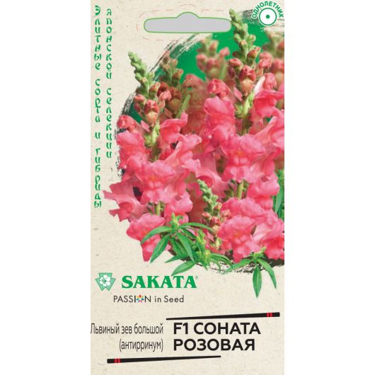 Львиный зев (Антирринум) Соната розовая F1* 7 шт. Саката серия Элитная клумба Львиный зев (Антирринум) Соната розовая F1* 7 шт. Саката серия Элитная клумба