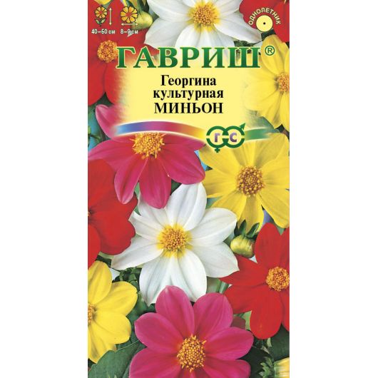 Георгина Миньон, смесь 0,3 г Георгина Миньон, смесь 0,3 г