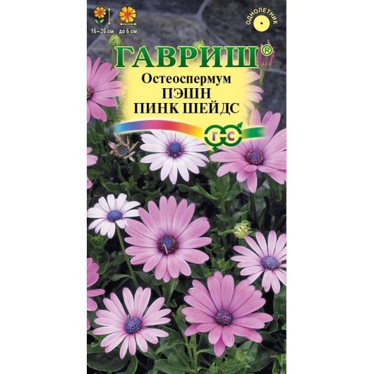 Остеоспермум Пэшн пинк шейдс  3 шт. Остеоспермум Пэшн пинк шейдс  3 шт.