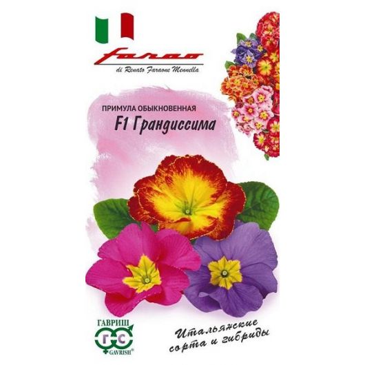 Примула Грандиссима F1  (обыкновенная грунтовая) смесь 5 шт. серия Фарао