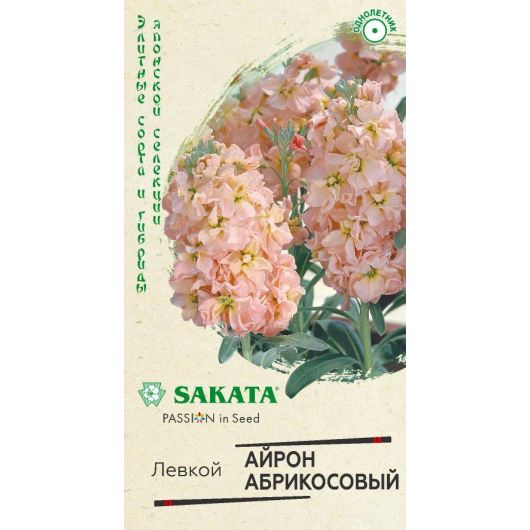 Левкой Айрон абрикосовый 5 шт. Саката серия Эксклюзив Левкой Айрон абрикосовый 5 шт. Саката серия Эксклюзив