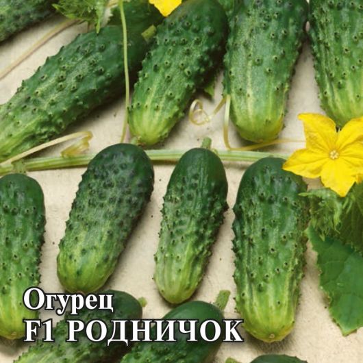Огурец Родничок F1 25,0 г