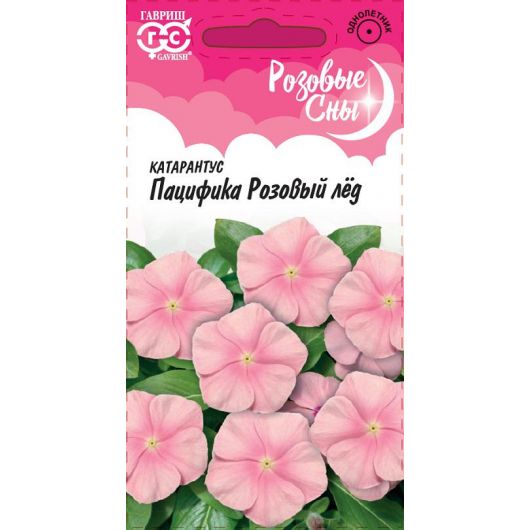 Катарантус Пацифика Розовый лед* 5 шт. серия Розовые сны Катарантус Пацифика Розовый лед* 5 шт. серия Розовые сны