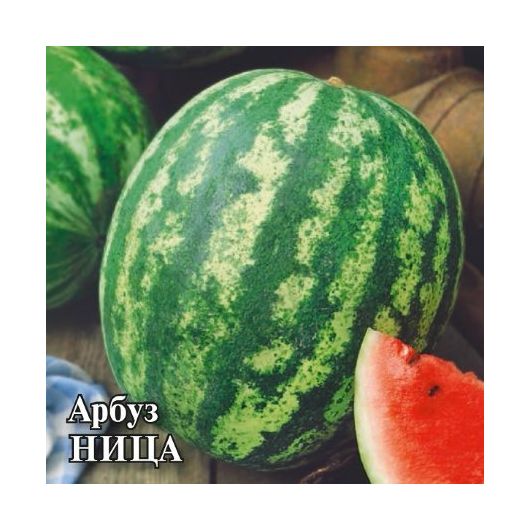 Арбуз Ница 10,0 г Арбуз Ница 10,0 г