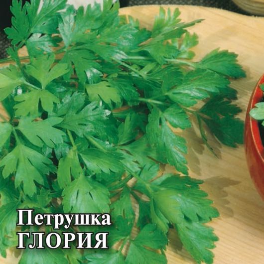 Петрушка листовая Глория 25,0 г Петрушка листовая Глория 25,0 г