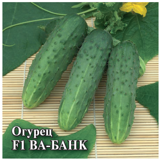 Огурец Ва-Банк F1 100 шт. Огурец Ва-Банк F1 100 шт.