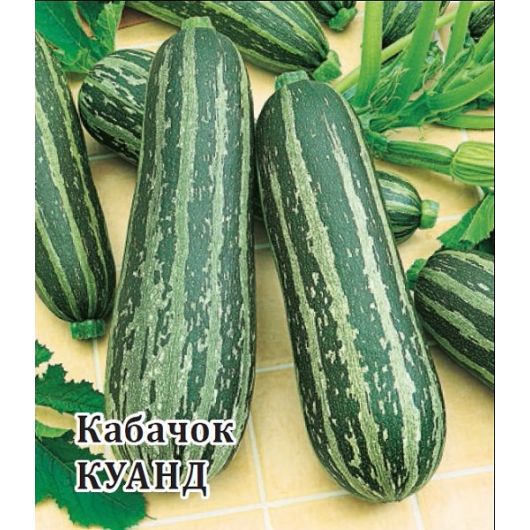 Кабачок Куанд 25,0 г Кабачок Куанд 25,0 г