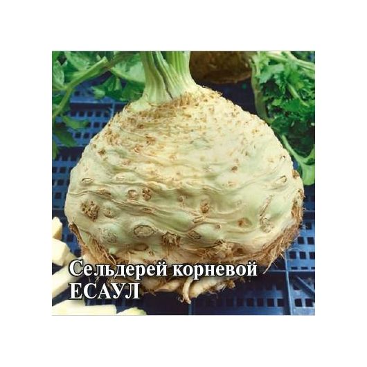 Сельдерей корневой Есаул 25,0 г