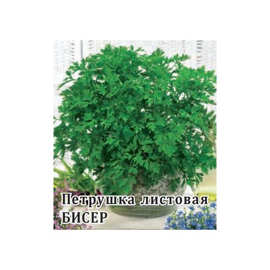 Петрушка листовая Бисер 50,0 г Петрушка листовая Бисер 50,0 г