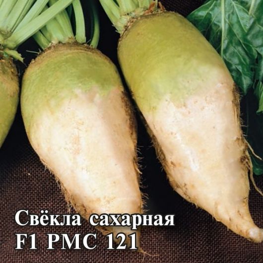 Свекла сахарная РМС 121 F1 100 г Свекла сахарная РМС 121 F1 100 г