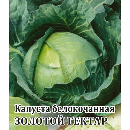Капуста белокоч. Золотой гектар 1432 10,0 г ранняя Капуста белокоч. Золотой гектар 1432 10,0 г ранняя