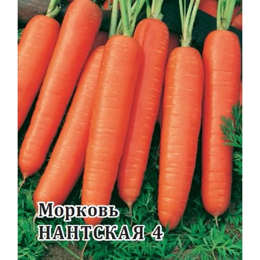 Морковь Нантская 4 100 г Морковь Нантская 4 100 г