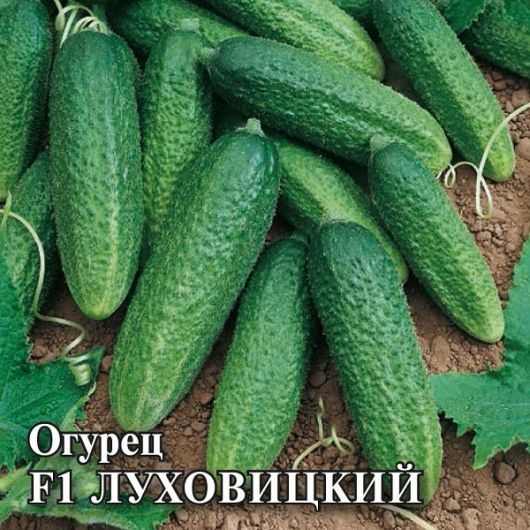 Огурец Луховицкий F1 100 шт. корнишон Огурец Луховицкий F1 100 шт. корнишон