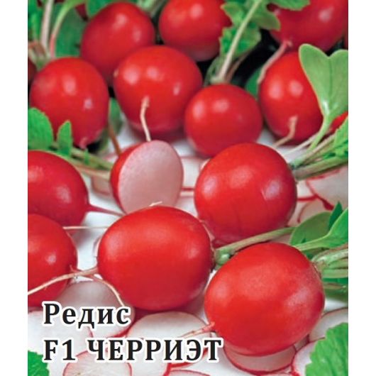 Редис Черриэт F1 1000 шт. (Саката) Редис Черриэт F1 1000 шт. (Саката)