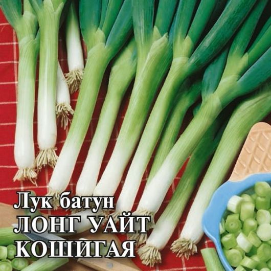 Лук батун Лонг Уайт Кошигая 25 г (Саката) Лук батун Лонг Уайт Кошигая 25 г (Саката)