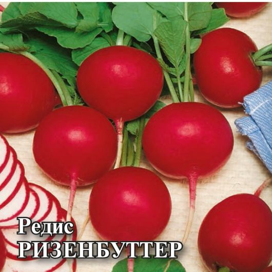 Редис Ризенбуттер 100 г Редис Ризенбуттер 100 г