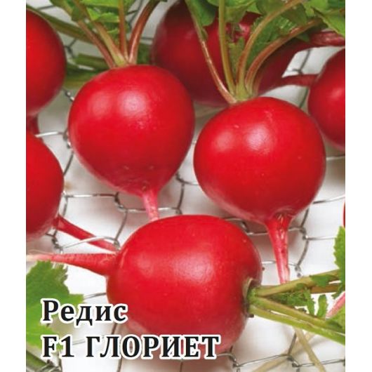 Редис Глориет F1 1000 шт. (Саката) Редис Глориет F1 1000 шт. (Саката)