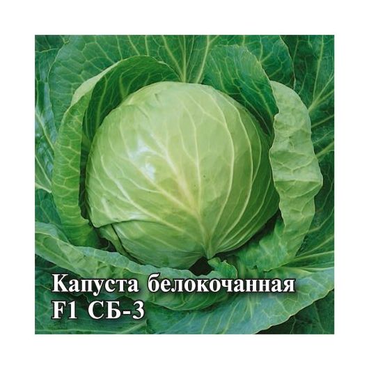 Капуста белокоч. СБ-3  F1 25,0 г для квашения Капуста белокоч. СБ-3  F1 25,0 г для квашения