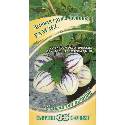 Пепино Рамзес 5 шт. автор. Пепино Рамзес 5 шт. автор.