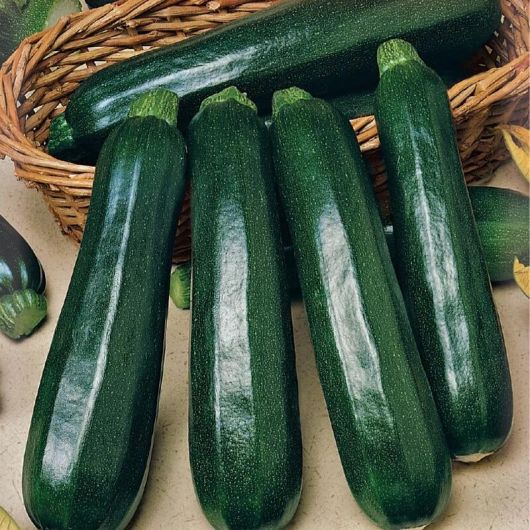 Кабачок Дракоша 25 г Кабачок Дракоша 25 г