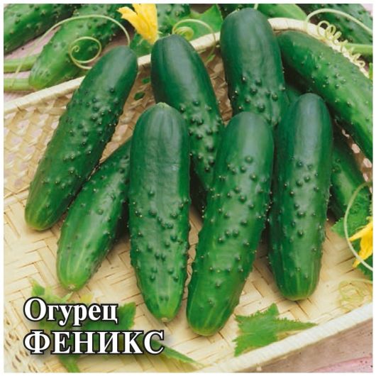 Огурец Феникс 10,0 г Огурец Феникс 10,0 г