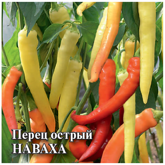 Перец острый Наваха 5,0 г
