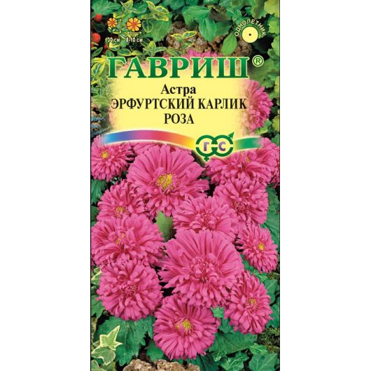 Астра Эрфуртский карлик Роза, однолетняя,0,3 г