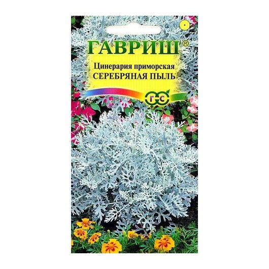 Цинерария приморская Серебряная пыль* 0,1 г