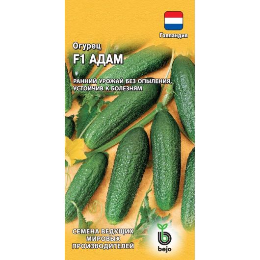 Огурец Адам F1 5 шт. корнишон (Голландия)