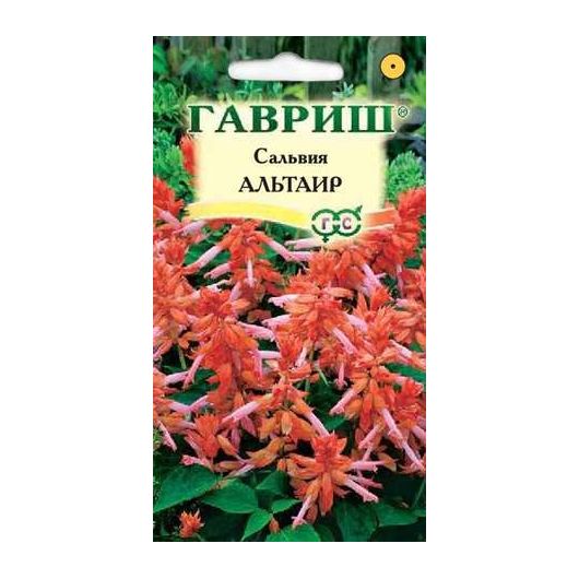 Сальвия Альтаир*, карликовая 4 шт.