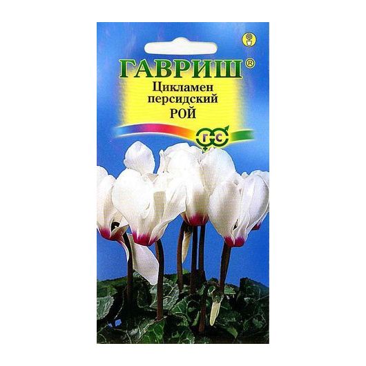 Цикламен Рой персидский* 3 шт.