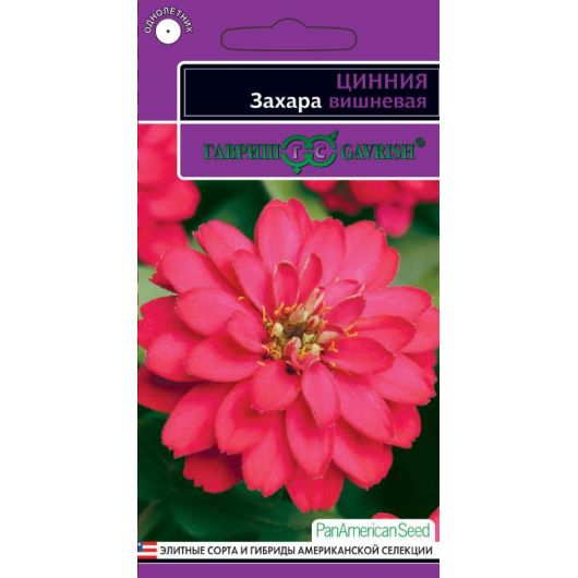 Цинния Захара вишневая 5 шт. серия Эксклюзив