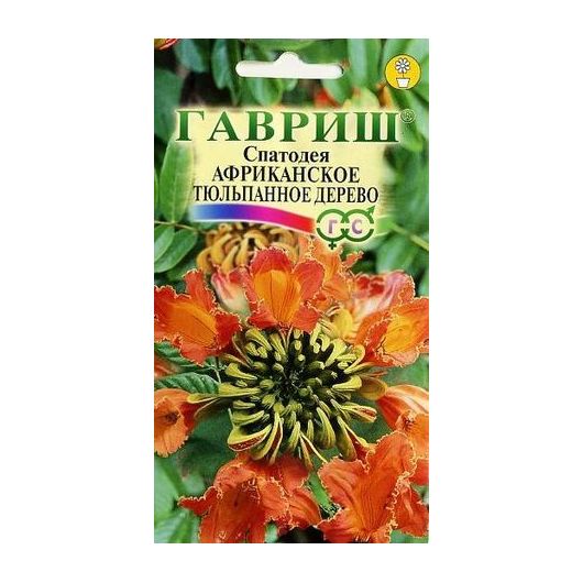 Спатодея Африканское тюльпанное дерево 0,05 г