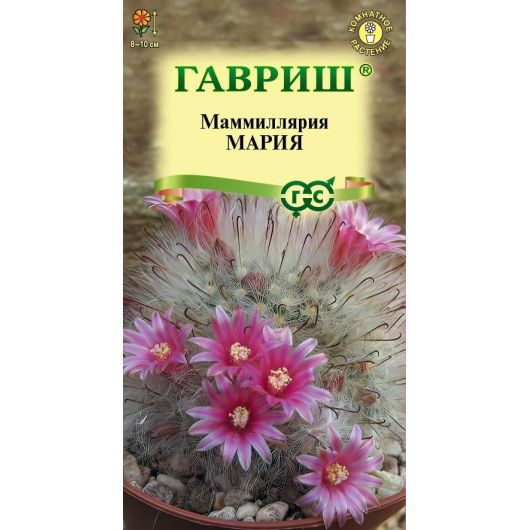 Маммиллярия бокасанская (Кактус) Мария 2 шт.