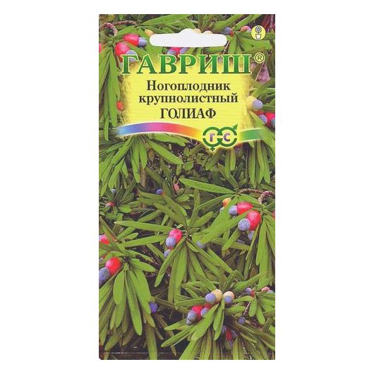 Ногоплодник круглолистный Голиаф 3 шт.