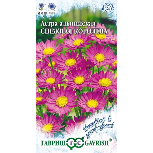 Астра альпийская розовая Снежная королева, * 0,05 г серия Устойчив к заморозкам!
