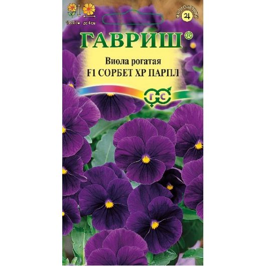 Виола Сорбет XP Парпл F1 рогатая (Анютины глазки)* 4 шт.