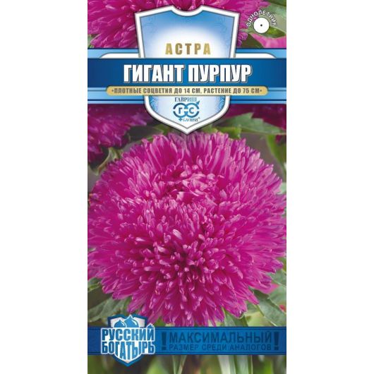 Астра Гигант пурпур, однолетняя (игольчато-коготковая)*  0,05 г серия Русский богатырь