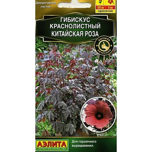 Гибискус Китайская роза краснолистный 5 шт. Аэлита